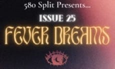 image of the cover for Issue 25 of 580 Split journal, entitled Fever Dreams